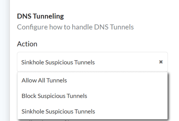 DNS Tunneling Detection