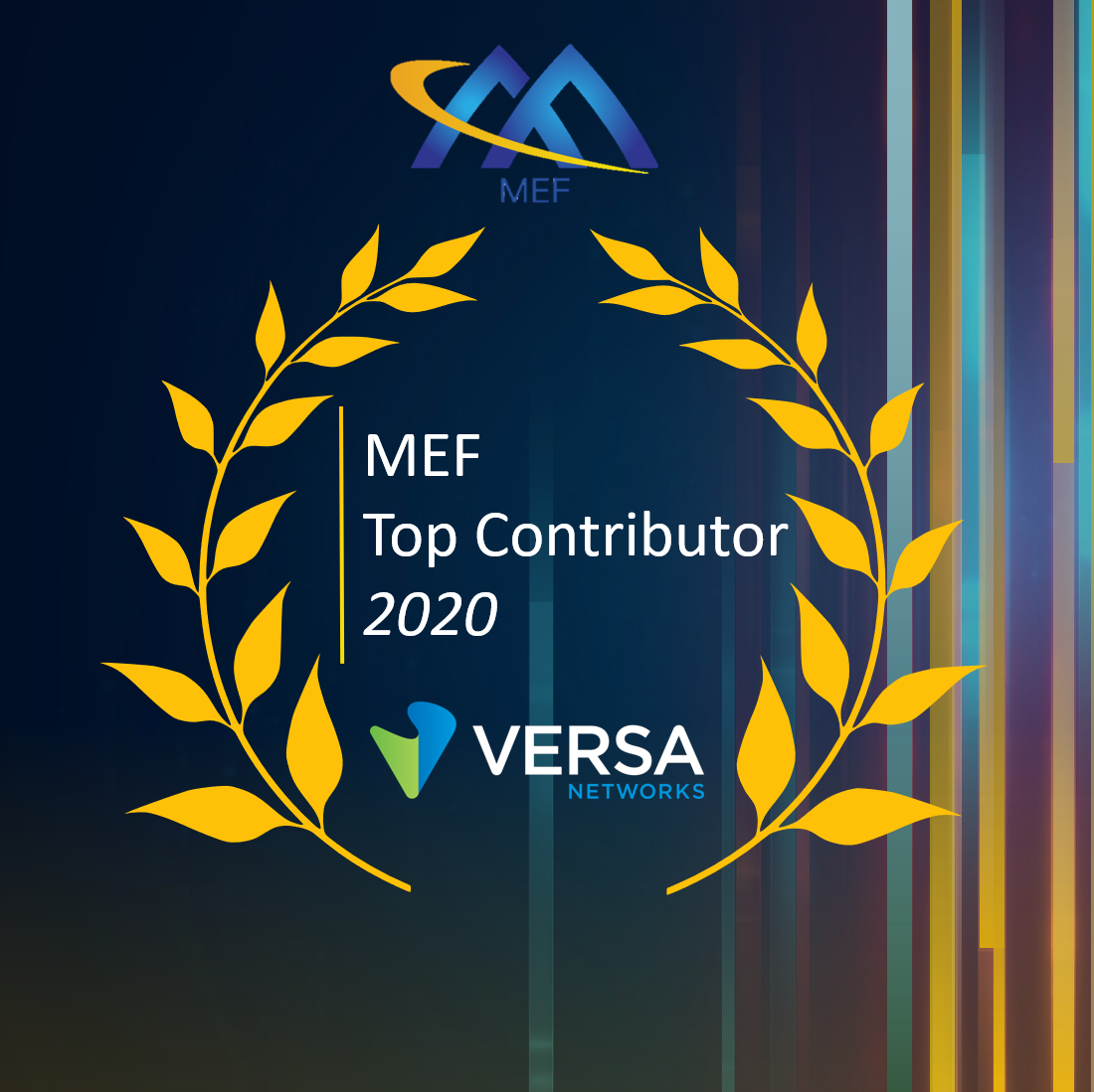 MEF Top Contributor 2020